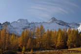 20091026_115252 Larici, Motto Alto e pizzo Quadro.jpg